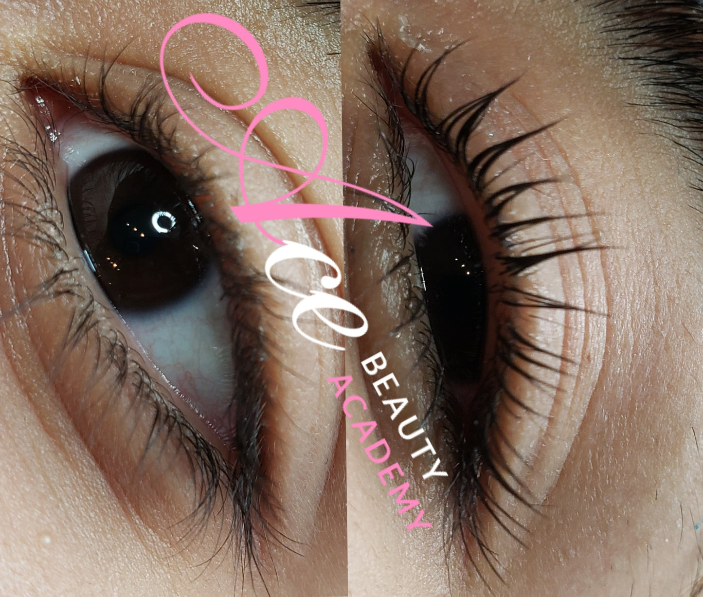 Lash Lift & Tint Training