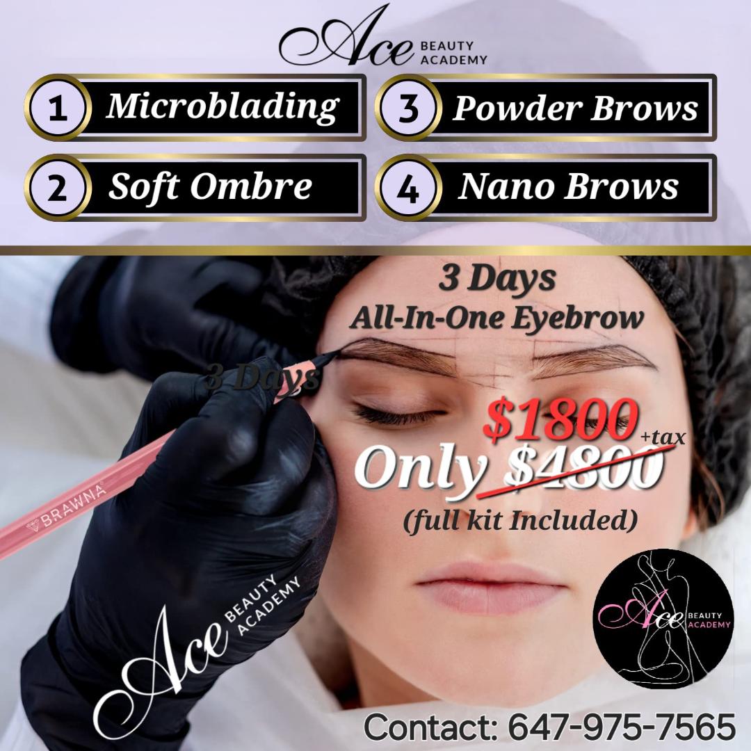 ALL-IN-ONE Eyebrow Training ( Special Promo )