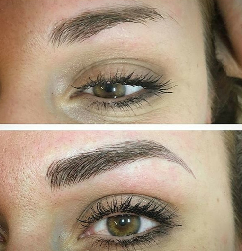 ALL-IN-ONE Eyebrow Training ( Special Promo )