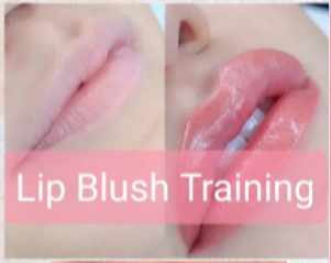 Lip Blush Training ( Special Promo )