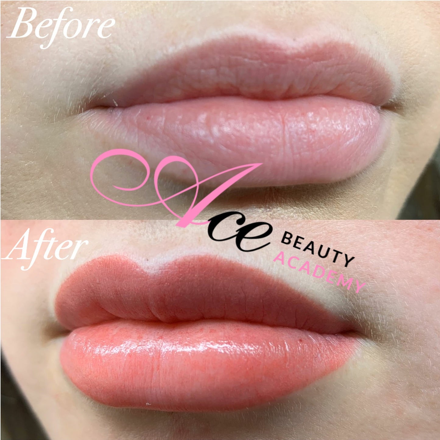 Lip Blush Training ( Special Promo )