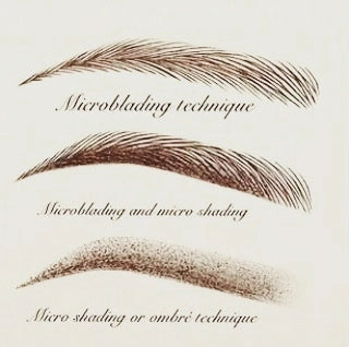 ALL-IN-ONE Eyebrow Training