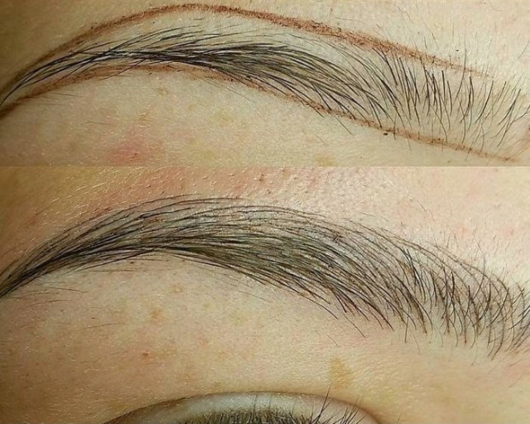 ALL-IN-ONE Eyebrow Training ( Special Promo )